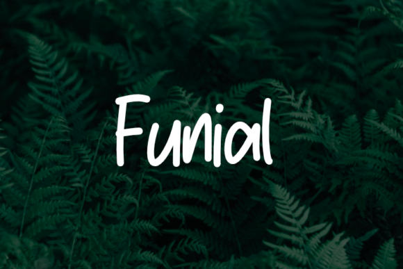 Funial: A Modern Script Typeface for Elegant Branding