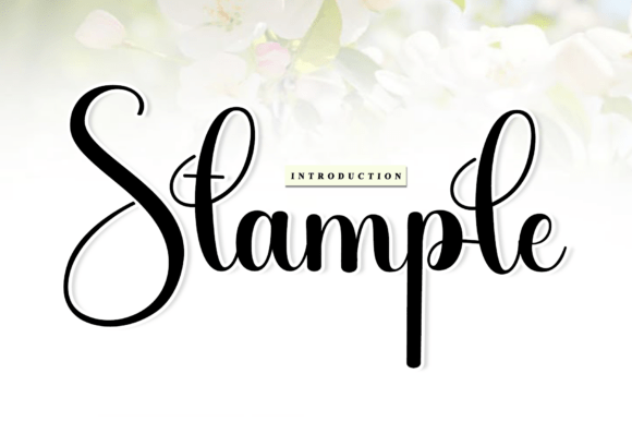 Stample: A Timeless Script Handwritten Font for Editorial Design